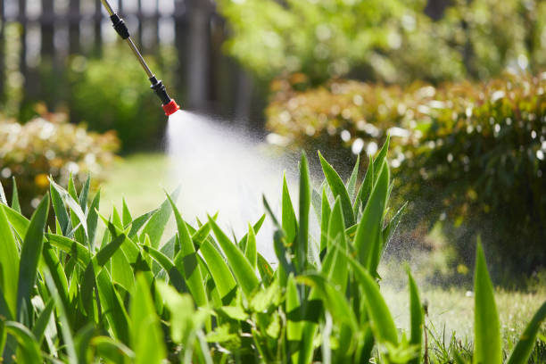 24/7 Emergency Termite Control experts in Vineyard, CA